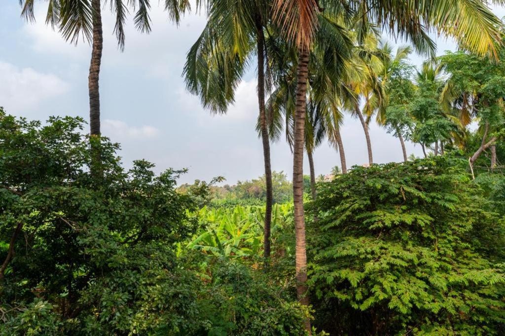 Saptami Hampi Homestay ภายนอก รูปภาพ